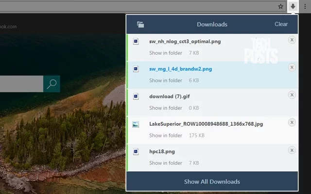 chrono download Manager fir Chrome browser