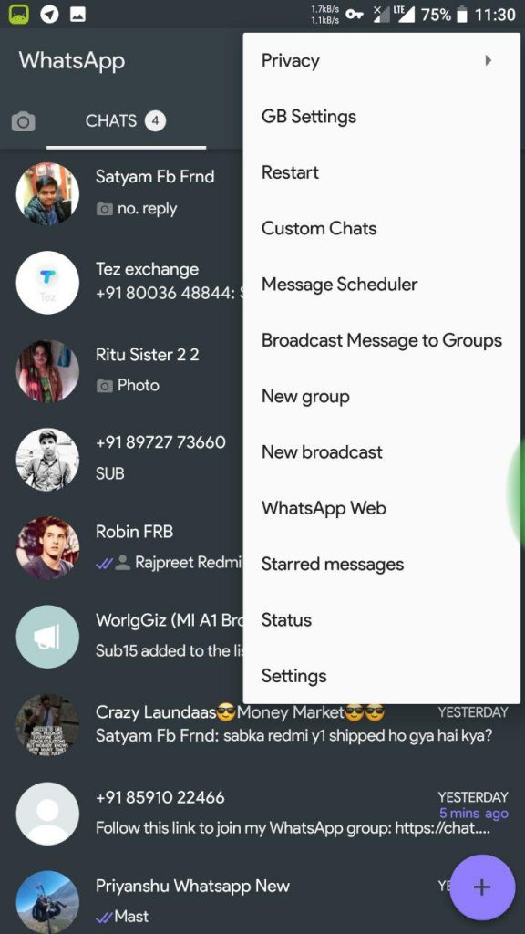 GBWhatsApp Additional Features and Options