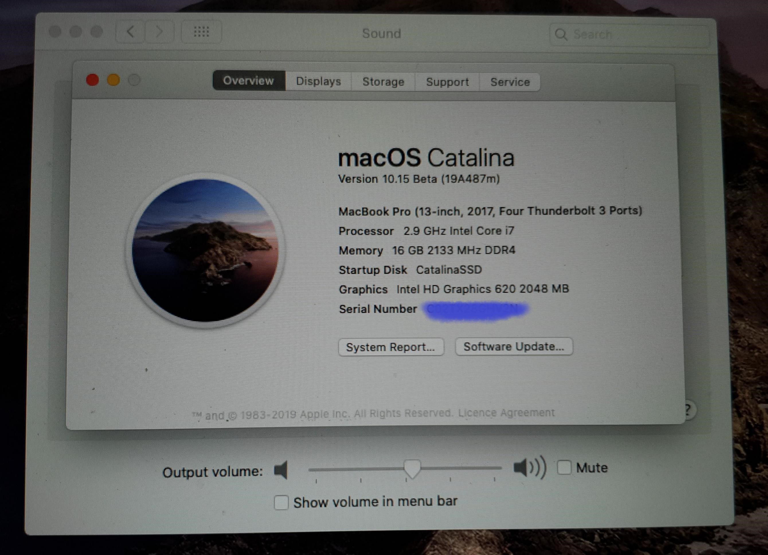 where does macos catalina download to