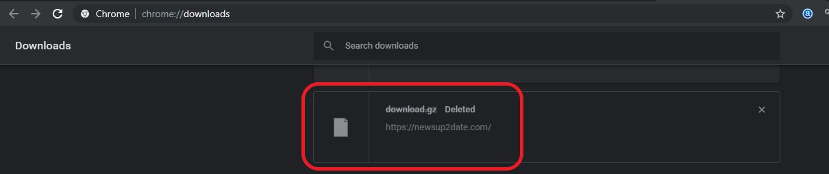 wordpress downloads .gz file