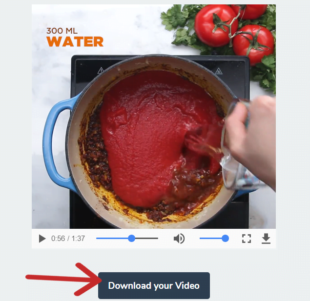 click download your video