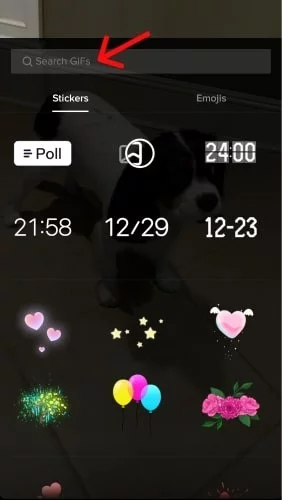 search bar option for stickers on tiktok