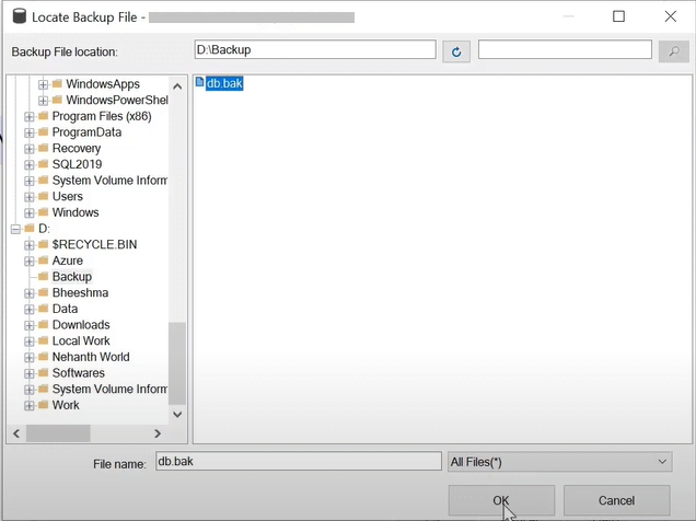 use database backup copy