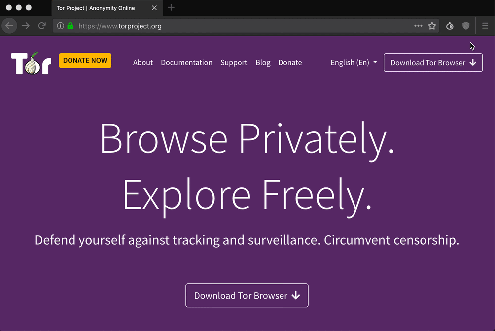 Tor browser for private browsing experience 